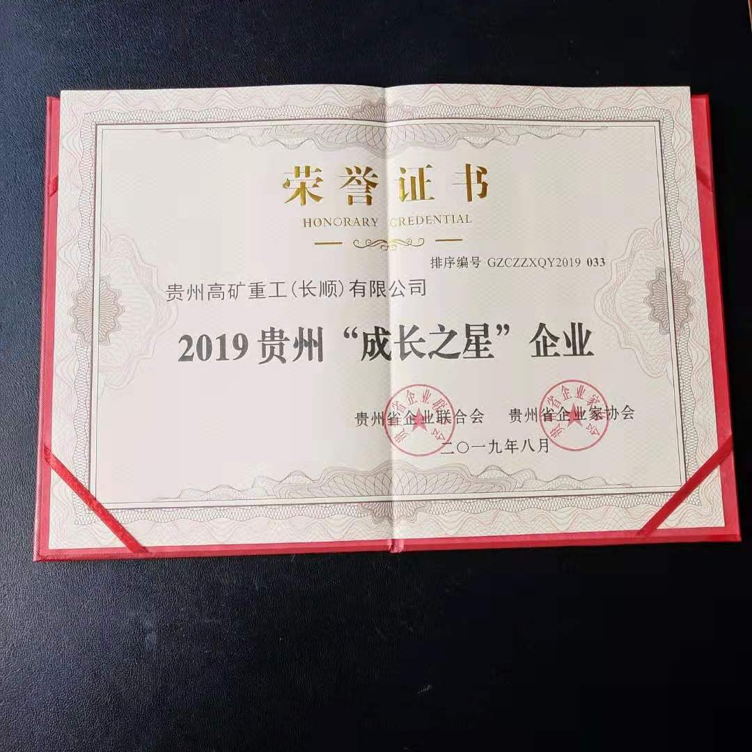 【江南app】中国有限公司官网荣获2019贵州“成长之星”企业称号